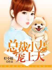 闪婚总裁宠上天
