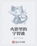 火影宇智波有哪些人