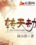 转天劫讲的是什么