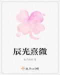 辰光熹微的意思
