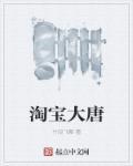 大唐淘宝商笔趣阁