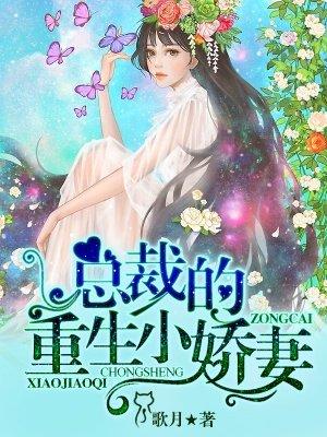 总裁的霸道小娇妻完整版