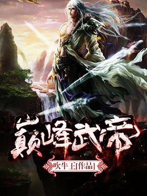 巅峰武帝齐运境界划分