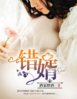 错婿姻缘