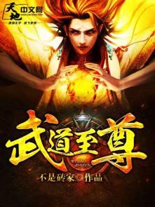 武道至尊陈枫全文免费阅读最新
