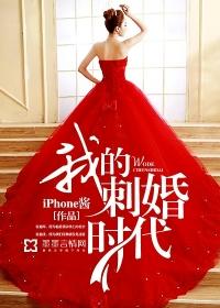 我的刺婚时代高H