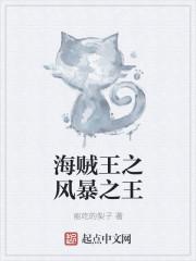 海贼王之暴风海贼团