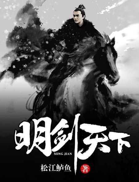 明剑天下阅读
