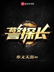 警探长评价