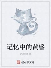 记忆的黄昏是什么意思