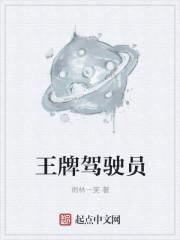 王牌驾驶员动漫