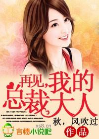 我的总裁大人 txt