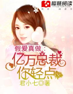 总裁轻点宠免费全集