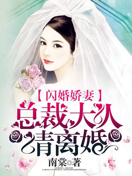 闪婚娇妻总裁大人请离婚南棠
