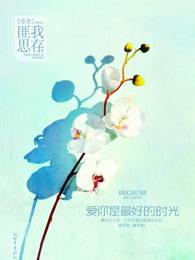 是最好的时光