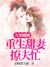 九零暖婚重生甜妻撩夫忙作者招财进大喵