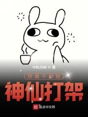 我真不想跟神仙打架破解