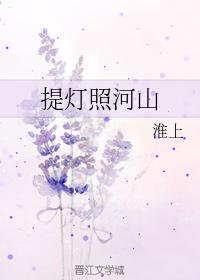 提灯照河山by淮上原著小说全集阅读