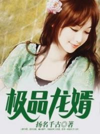 上门龙婿有多少集