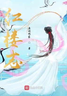 红楼志扶摇