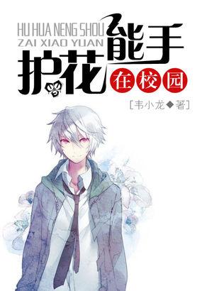 校园护花高手完整版
