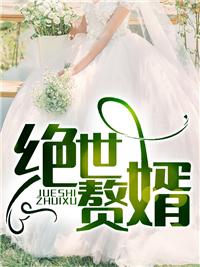 _至尊神婿叶昊郑漫儿
