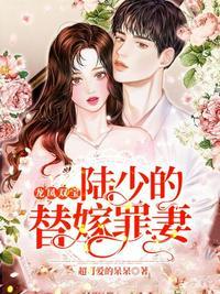 陆少的替嫁宠妻 结局