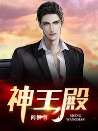 神王殿叶辰完整版