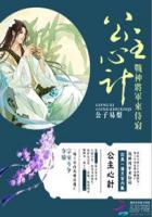 公主和将军言情