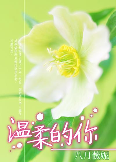 温柔的你总会推着我向北是什么歌