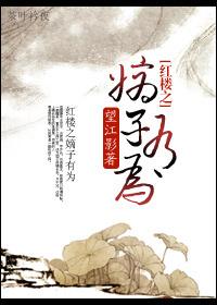 红楼之嫡子有为全文 望江影
