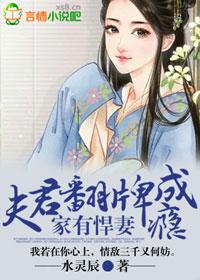相公不好当免费