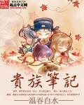 贵族笔记本电脑