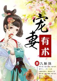 宠妻有术txt