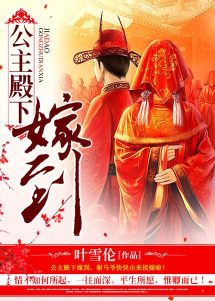 公主殿下嫁到叶雪伦具体讲的什么?