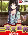 二次元抽奖叫什么