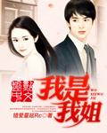 我是我姐姐的什么人