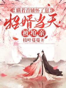 瞒着首辅怀了崽招婿当天被抢亲笔趣阁在线阅读