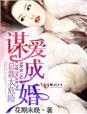 谋爱成婚总裁的心尖宠