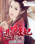 王妃逃跑被抓