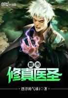 都市修真医圣陈