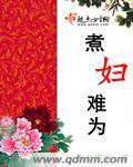 煮妇难为全文阅读