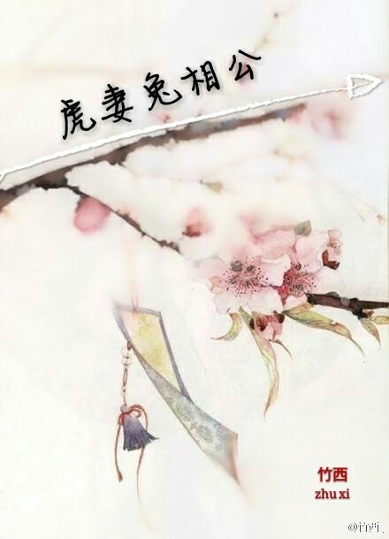 虎妻兔相公作者竹西