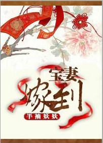 宝妻嫁到男主角是谁