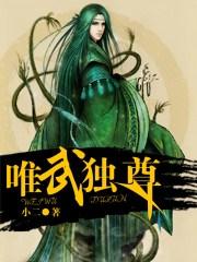 唯武独尊短剧在线观看