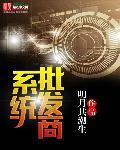 批发销售系统