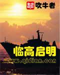 临高启明最新