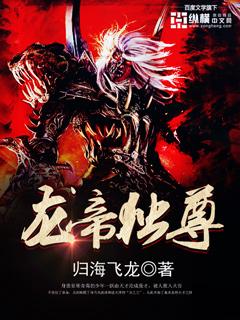 龙帝至尊免费阅读陆鸣txt