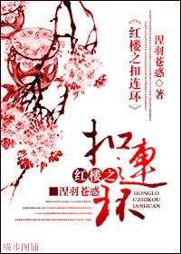 红楼之环三