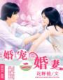婚宠二婚妻免费阅读